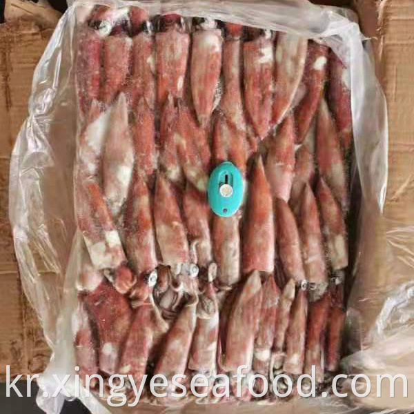 Frozen Squid Loligo Chinensis